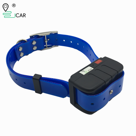 blue collar gps