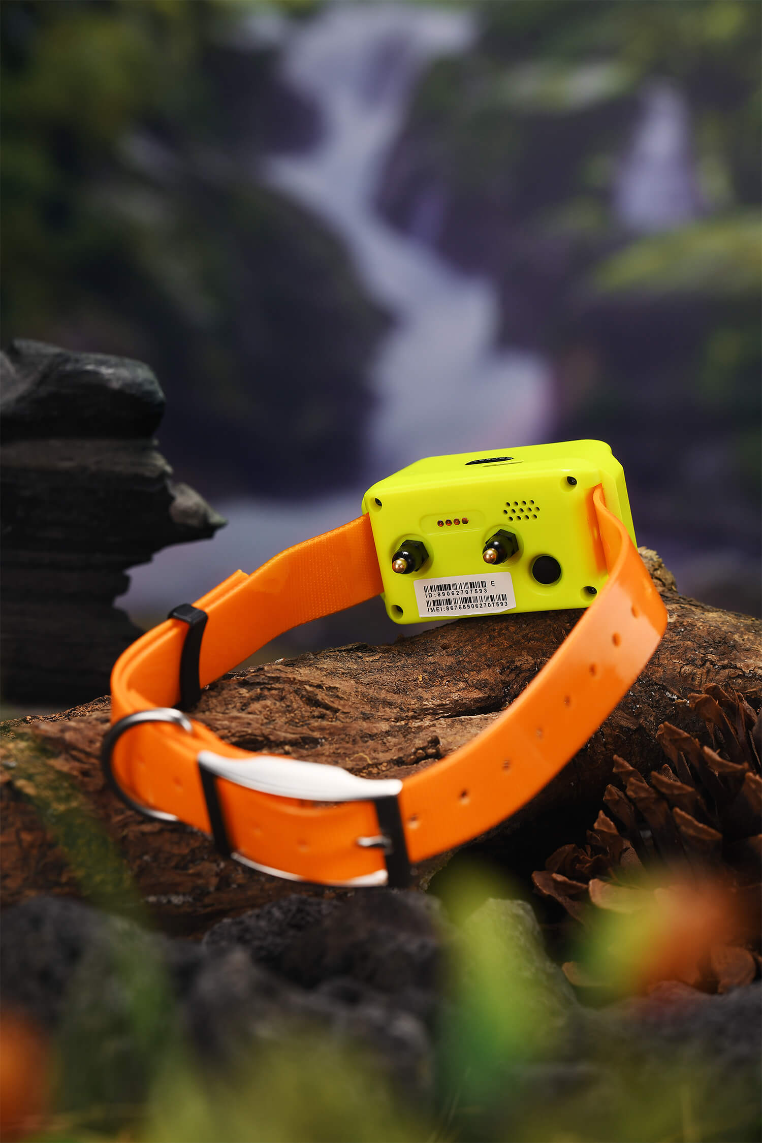 Gps Best Hunting E Collar Garmin Alpha 200i/200+ Bundle Dog Track