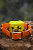 4G IK122T Pro Hound GPS Training Collar Without Distance Limit
