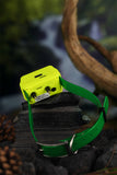 4G IK122T Pro Hound GPS Training Collar Without Distance Limit