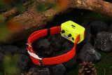 4G IK122T Pro Hound GPS Training Collar Without Distance Limit