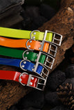 4G IK122T Pro Hound GPS Training Collar Without Distance Limit