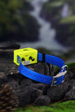 4G IK122T Pro Hound GPS Training Collar Without Distance Limit