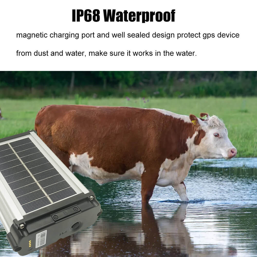 4G Solar GPS Tracker For Cattle IK145